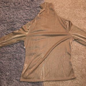 Gold Semi Sheer Turtle Neck